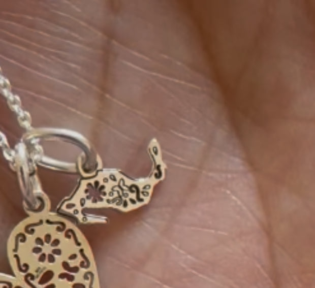Preorder Mini Silver Charm Mexico Map
