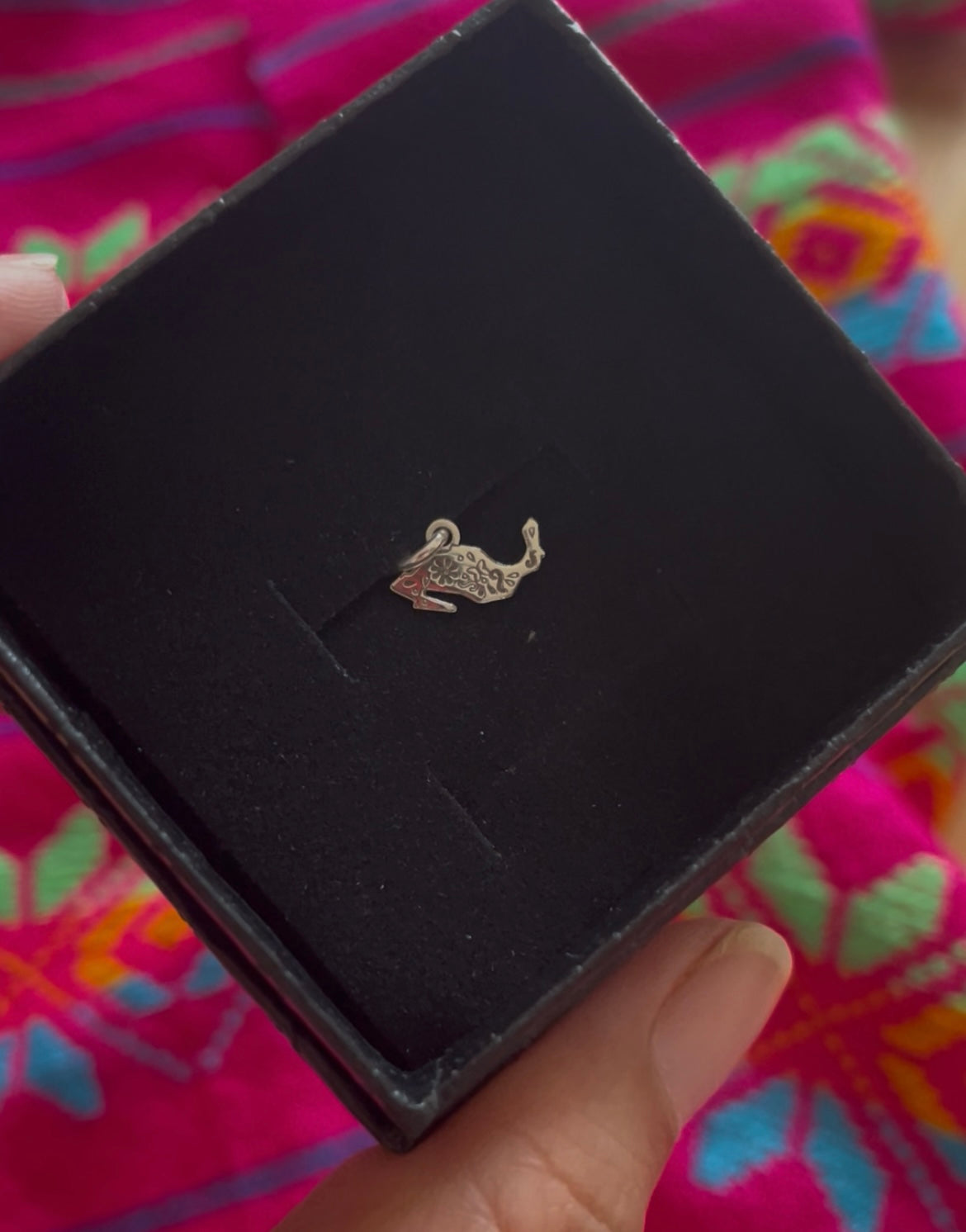 Preorder Mini Silver Charm  Mexico Map